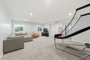 basement recreational and family room