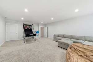 basement recreational and family room
