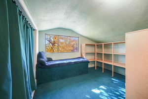 Unfurnished bedroom featuring lofted ceiling, a textured ceiling, and carpet floors