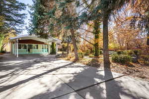 View of patio with concrete driveway and a carport