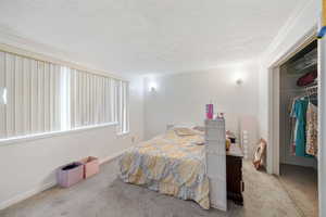 Bedroom featuring carpet floors, a textured ceiling, a closet, and crown molding