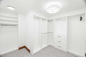 Walk in closet with light colored carpet