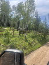 View of yard featuring a forest view