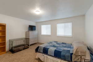 Bedroom with light colored carpet and a textured ceiling