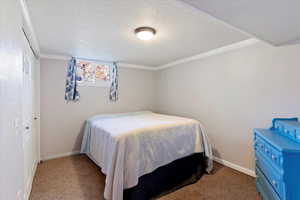 Carpeted bedroom with a textured ceiling, a closet, and crown molding
