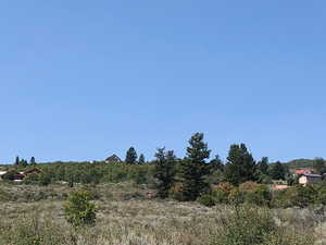 View of undeveloped land