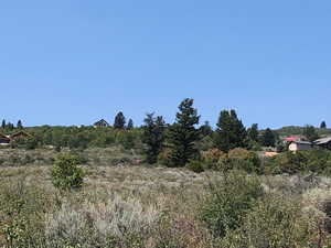 View of local wilderness