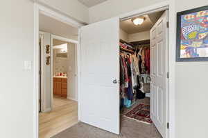 View of primary closet