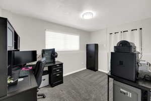 Office space featuring light colored carpet and a textured ceiling