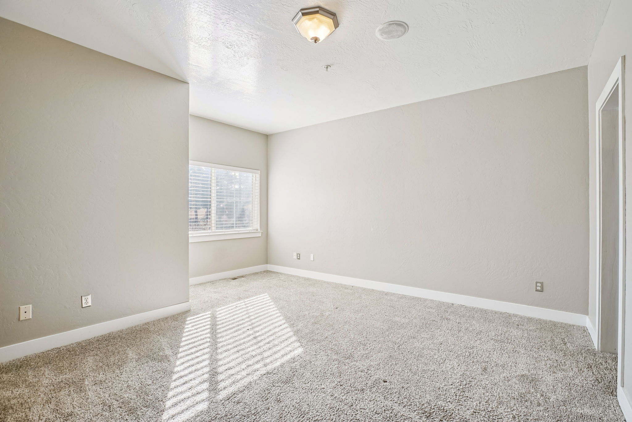 Primary room with carpet and a textured ceiling