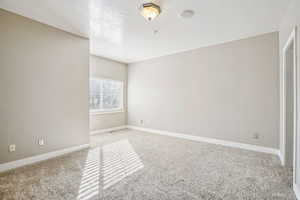 Primary room with carpet and a textured ceiling