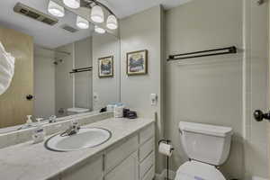 Full bathroom featuring vanity and a shower