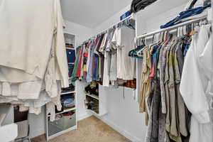 Spacious closet featuring light carpet