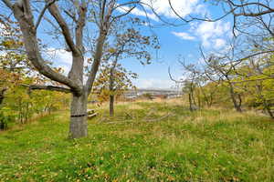 Majority of acreage is on the north side of the structure with valley views