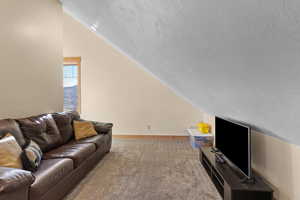 Carpeted living room featuring lofted ceiling and a textured ceiling