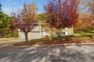 View of property hidden behind natural elements with brick siding, a front yard, driveway, and a garage