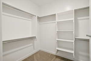 Spacious closet featuring light carpet