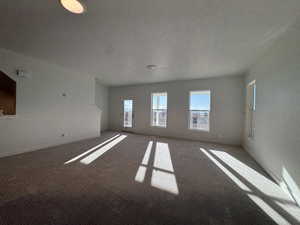 Carpeted empty room with a textured ceiling and a textured wall