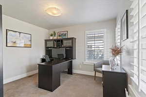 Office space featuring light colored carpet and a textured ceiling