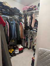 Spacious closet featuring light carpet