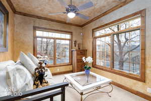 Living area featuring ornamental molding, a ceiling fan, carpet, and a textured wall
