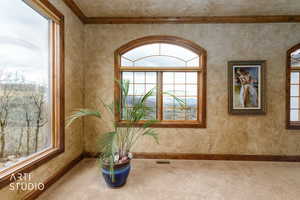 Detailed view of baseboards and carpet floors