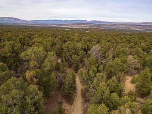 Aerial overview of property's location featuring mountains and a forest