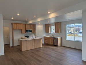 Kitchen with recessed lighting, stainless steel appliances, dark wood-style floors, and a center island