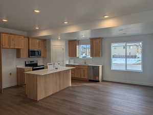 Kitchen featuring stainless steel appliances, a center island, recessed lighting, and dark wood-style floors