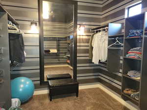 Spacious closet featuring dark colored carpet