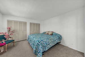 Carpeted bedroom with two closets and a textured ceiling