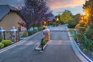 View of asphalt street with a gate, curbs, and a gated entry