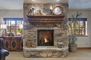 Detailed view of a fireplace and carpet