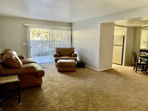 Living room with light colored carpet and a textured wall