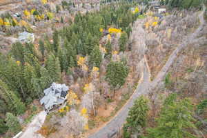 Aerial overview of property's location featuring a forest