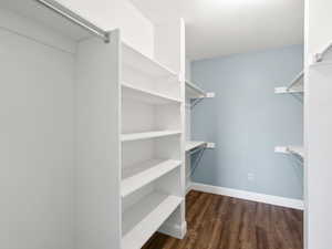 Spacious closet featuring wood-style flooring