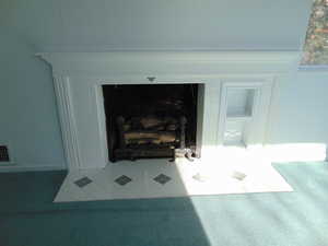 Detailed view of carpet flooring and a fireplace with flush hearth