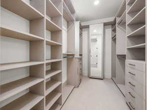 Spacious closet with light carpet