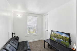 Living area featuring carpet and baseboards