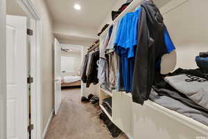 Spacious closet featuring light carpet