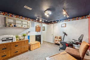 Office featuring light colored carpet, rail lighting, and a textured ceiling
