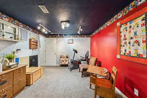 Sitting room with light colored carpet, rail lighting, and a textured ceiling