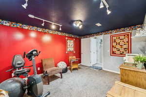 Exercise area featuring rail lighting and carpet floors