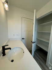Bathroom with vanity and dark wood-style floors