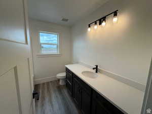 Bathroom featuring dark wood-type flooring and vanity