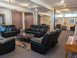 Living room with rail lighting and carpet