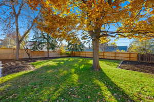 View of fenced backyard
