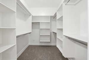 Walk in closet with dark carpet