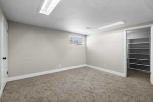 Below grade area featuring carpet floors and a textured ceiling