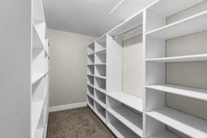 Walk in closet featuring dark carpet